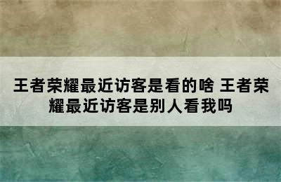 王者荣耀最近访客是看的啥 王者荣耀最近访客是别人看我吗